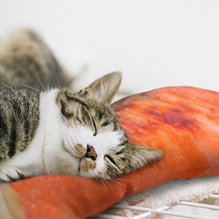 鮭好きの抱き枕